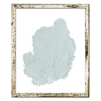 Small framed sea fans with colorful leaves in a silver acid washed frame.