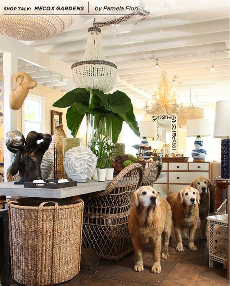 Shop-Talk: A cozy storefront display with three dogs standing in front of a wicker chair, surrounded by various decorative items and furniture.