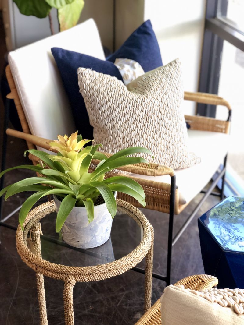 A cozy living room setting with a wicker chair, blue pillows, and a potted plant on a table.