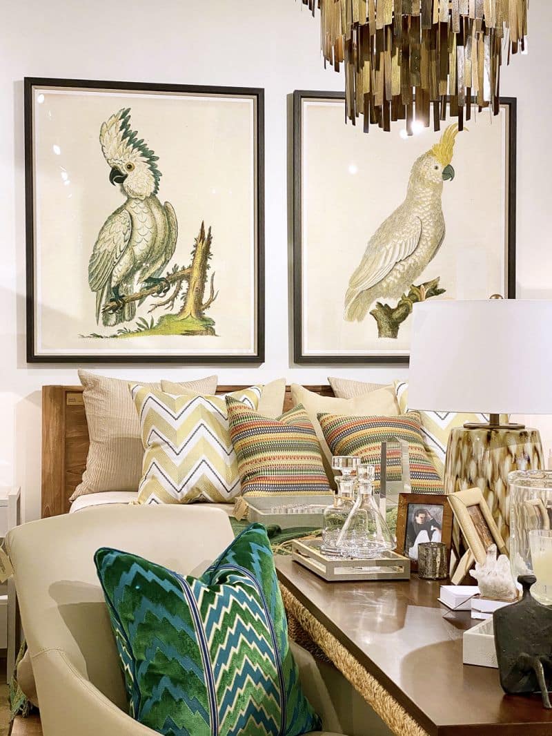 Cockatoo II Framed Artwork in a dark walnut frame This left-facing print is part of a collection with additional sizes and frames