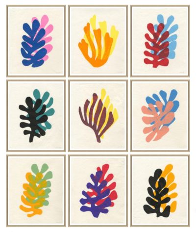 A collage of five framed prints showcasing a variety of coral arrangements each with a distinct color palette and style of presentation