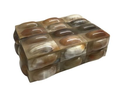 Small, colorful bubble box with a variety of shells arranged in different sections