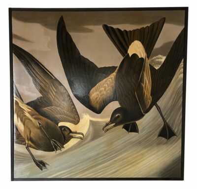 Large Fork Tail Petrels in flight captured in a hand painted oil on canvas framed painting.