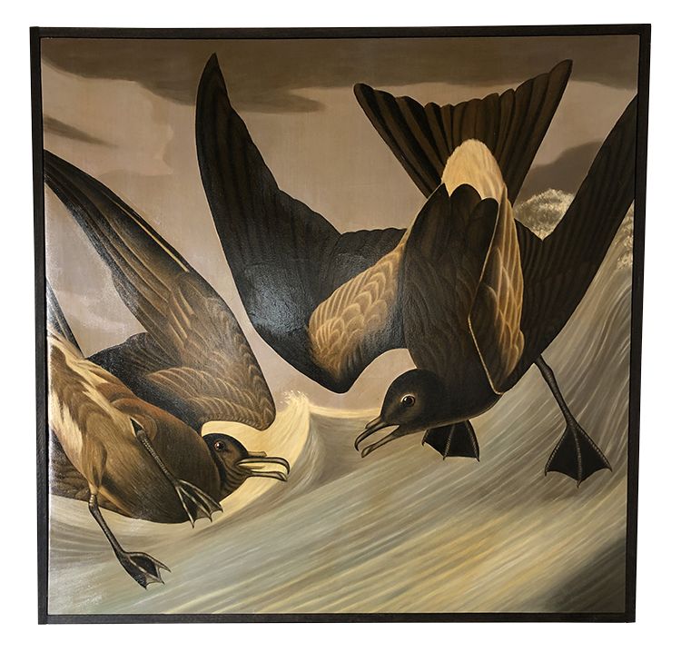 Large Fork Tail Petrels in flight captured in a hand painted oil on canvas framed painting.