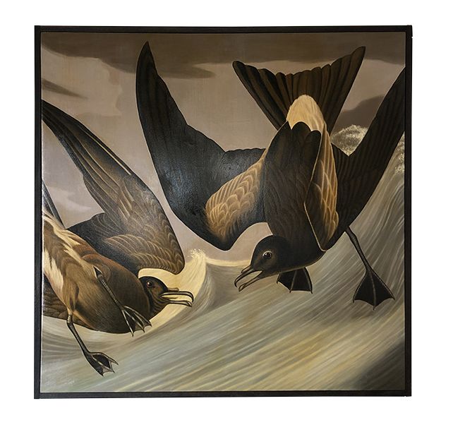 Large Fork Tail Petrels in flight painted on canvas with aged patina on frame and canvas.