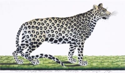 A framed print of a right-facing cat reproducing an 18th or 19th century artwork on archival paper set within a thin black
