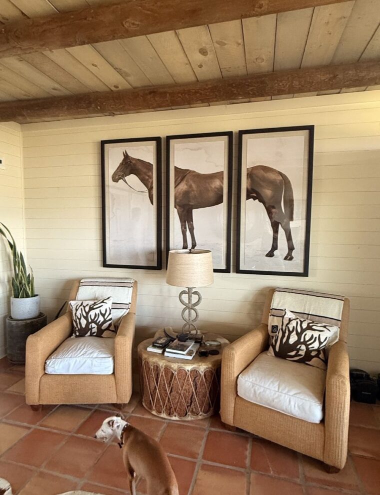Lord Denver's Prize Horse Triptych Reproduction Print - Image 4