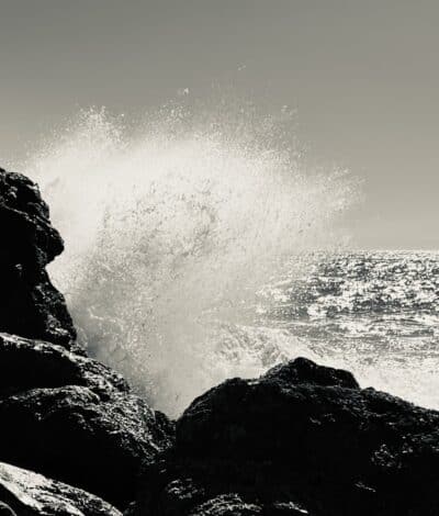 Punchy Original Photograph