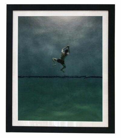 I Amphibian Original Photograph