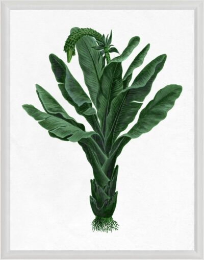 Pimlico 1 Reproduction Print