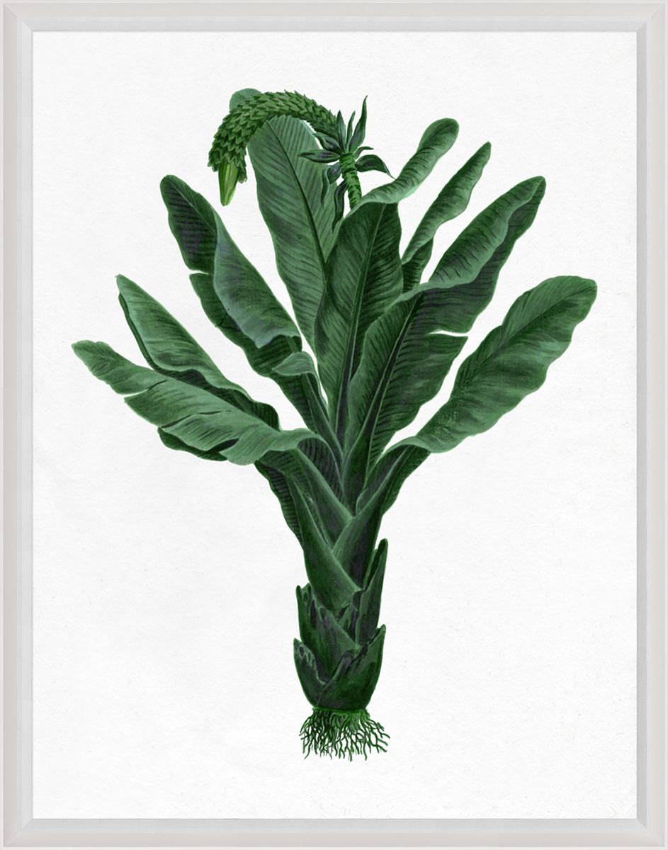 Pimlico 1 Reproduction Print
