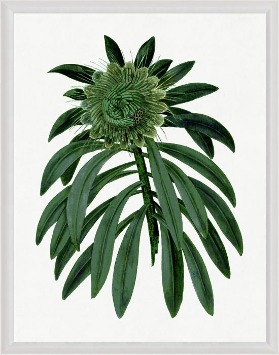 Pimlico 2 Reproduction Print