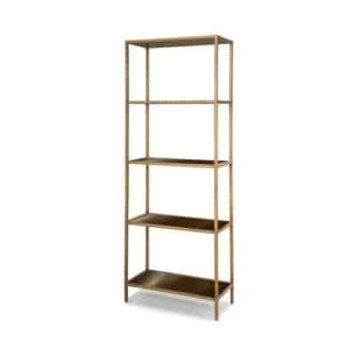 Frank Leather Bookshelf