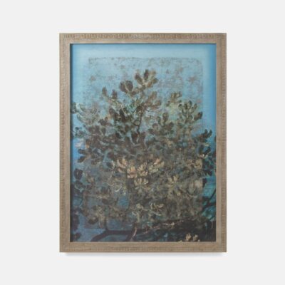 Nature Illustration Reproduction Art