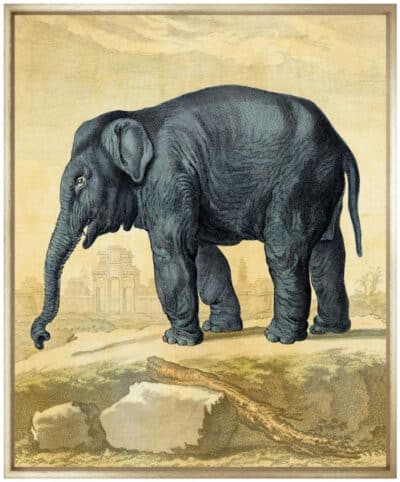 Elephant in Walnut Wedge Frame, Giclee Print, Houston