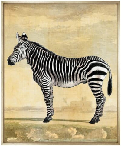 Close-up side profile of Equus zebra giclee print in walnut wedge frame, showcasing striking black and white stripes.