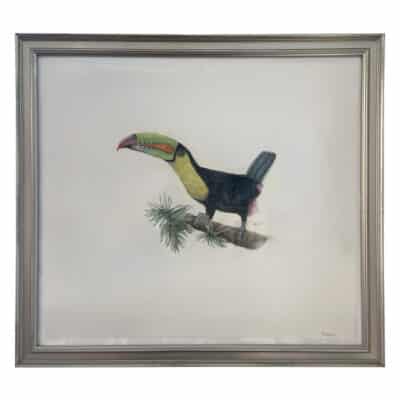 Close-up of Toucan 2 Original Art framed in silver, featuring a colorful toucan perched on a branch.