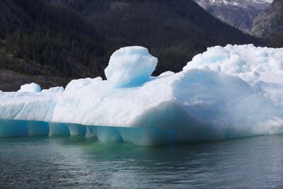 Blue-tinted floating icebergs in an icy expanse.