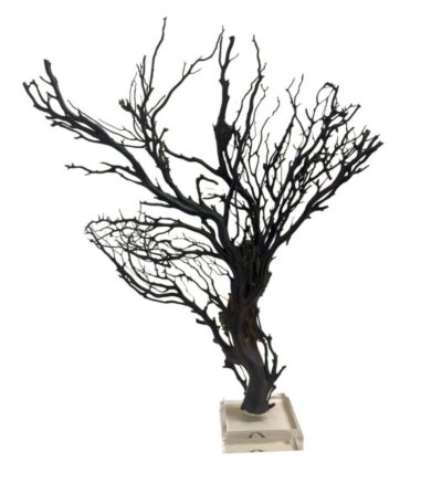 Vintage Black Sea Fan on Stand