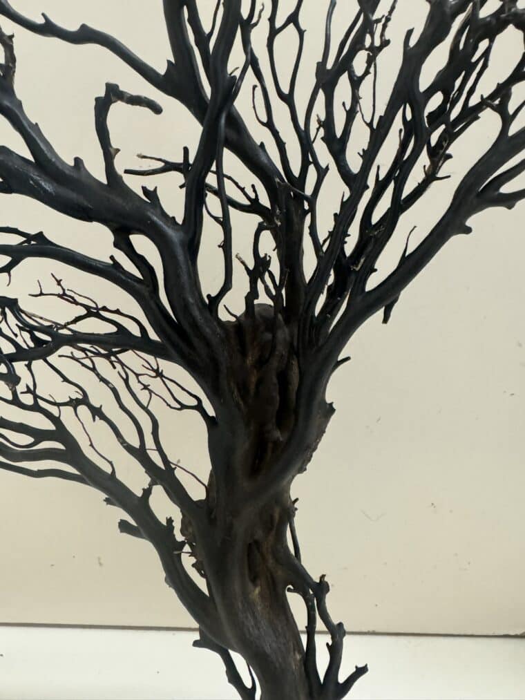 Vintage Black Sea Fan on Stand - Image 2