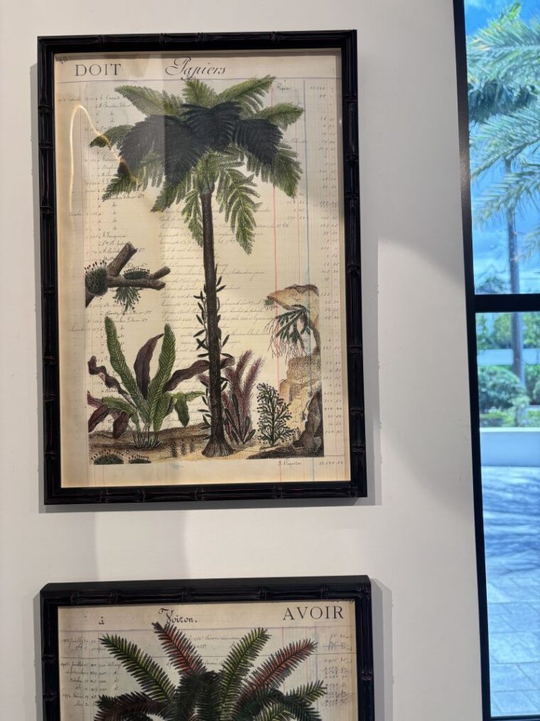 Pair of Antique Hand Colored Palm Tree Engravings - Image 4