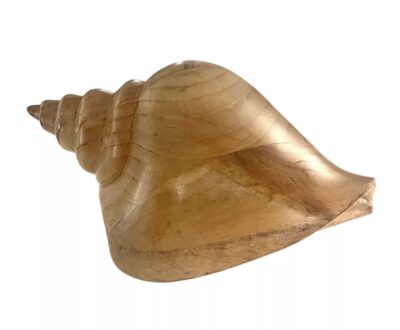 Vintage Carved Wood Conch Seashell Sculpture