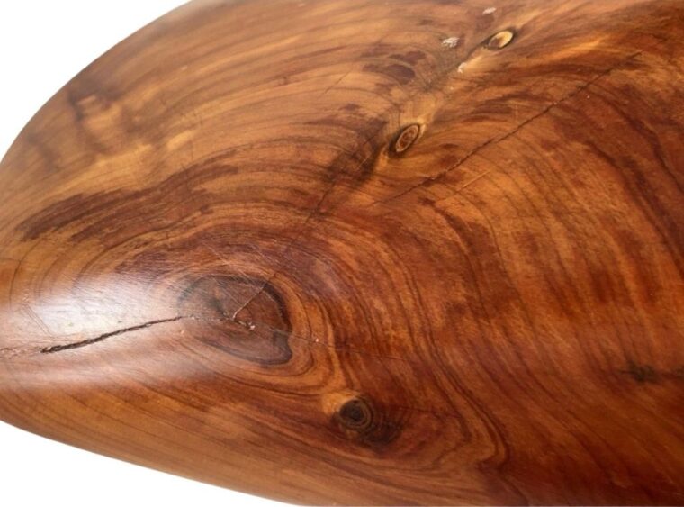 Vintage Wooden Conch Sculpture - Image 6