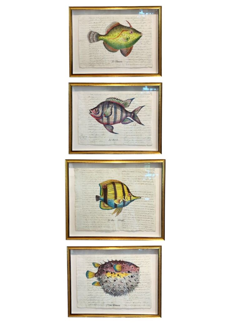 Set of 4 Antique Hand Colored Fish Engravings