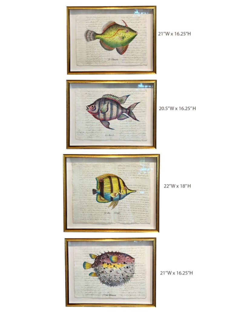Set of 4 Antique Hand Colored Fish Engravings - Image 4