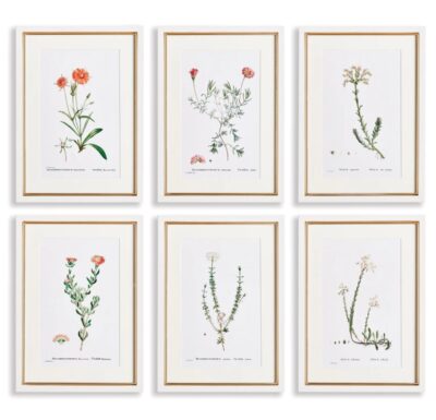 Set of 6 Blush Framed Flower Prints