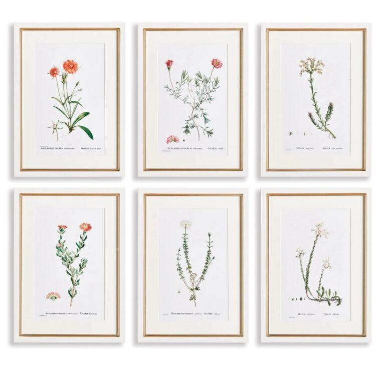 Set of 6 Blush Framed Flower Prints