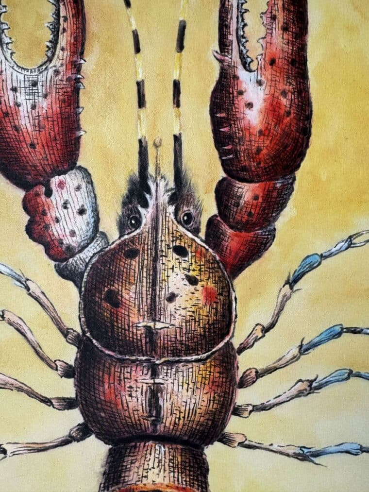Lobster Reproduction Art - Image 2