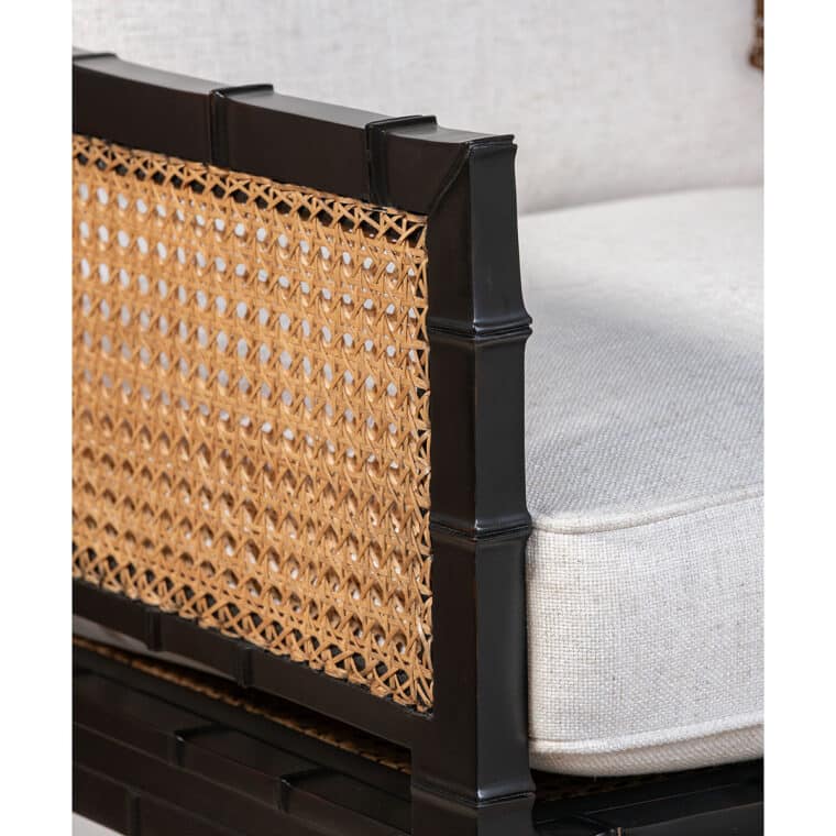 Beau Black Mahogany and Caned Arm Chair - Image 6