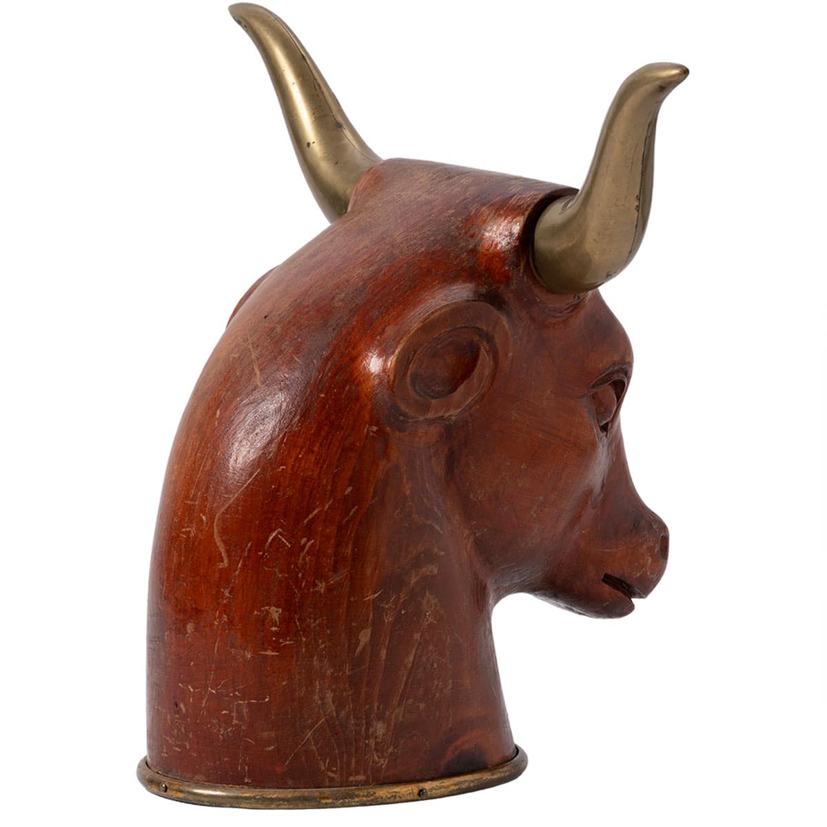 Brass-horned Spanish bull head sculpture.