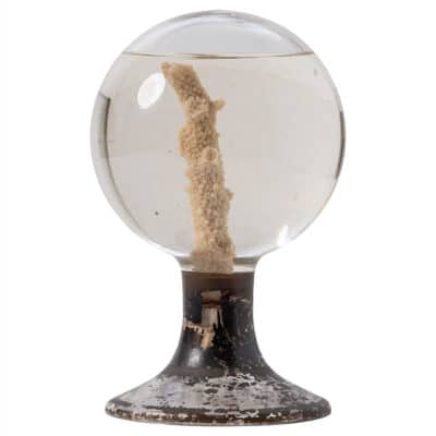 Antique French Glass Globe with Coral