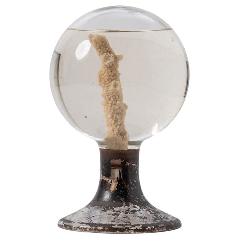 Antique French Glass Globe with Coral