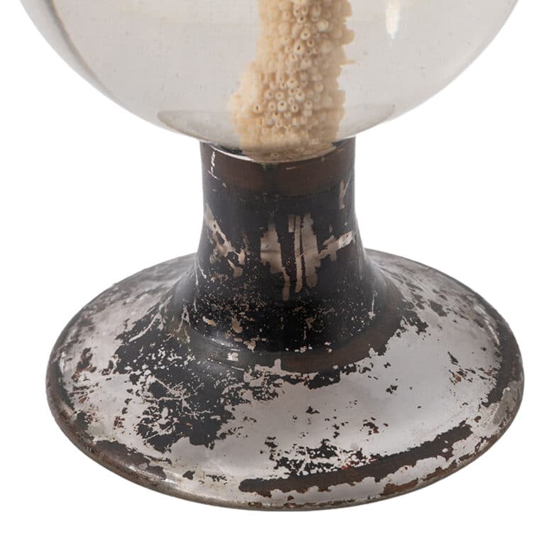 Antique French Glass Globe with Coral - Image 4