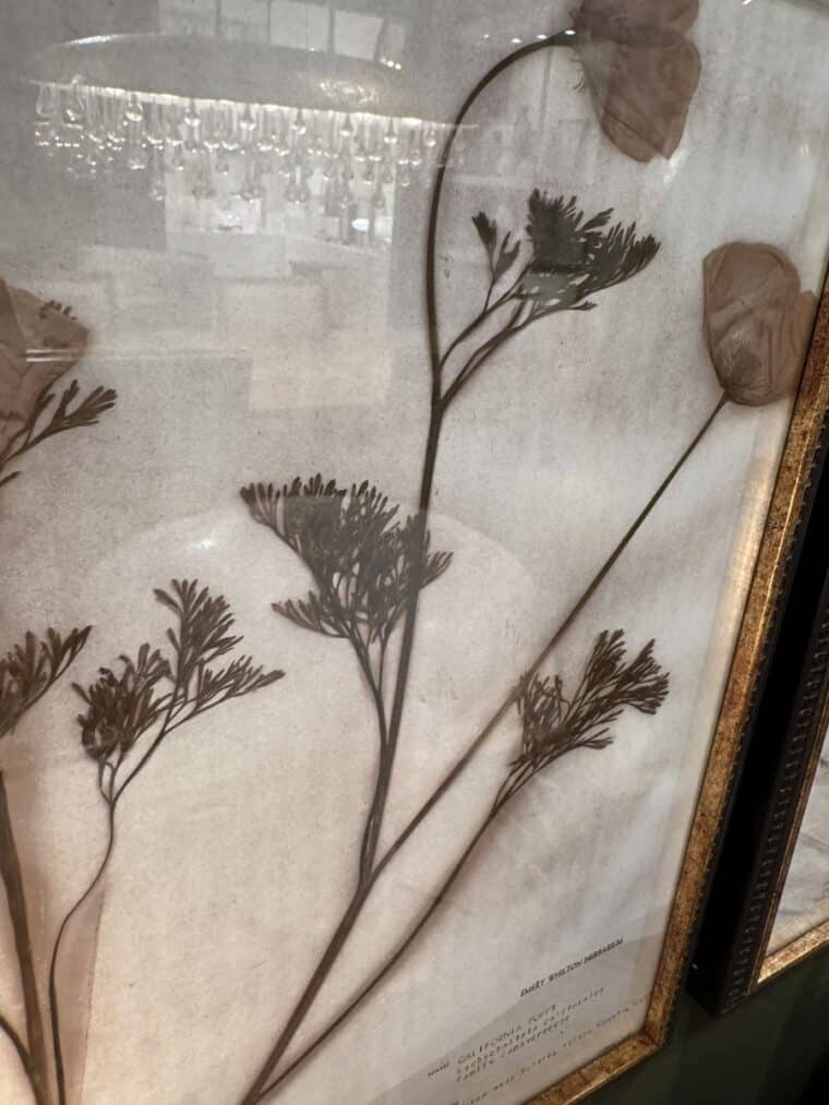 Set of 18 Botany Framed Prints - Image 8