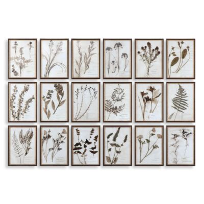 Set of 18 Botany Framed Prints
