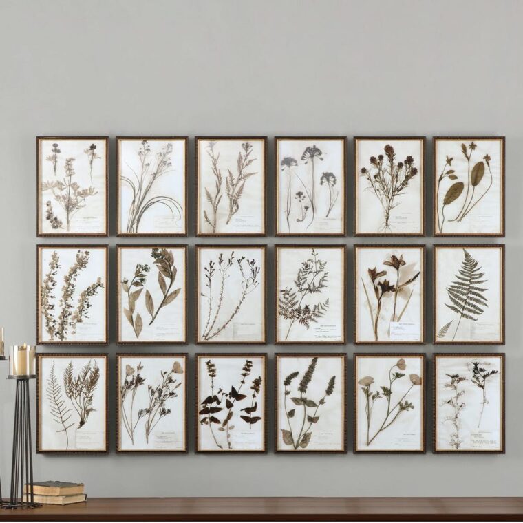 Set of 18 Botany Framed Prints - Image 5