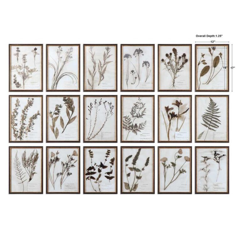 Set of 18 Botany Framed Prints - Image 2