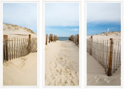 Beach Path Triptych Reproduction Art