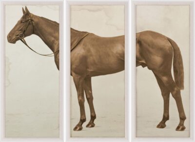 Lord Denver's Prize Horse Triptych Reproduction Print