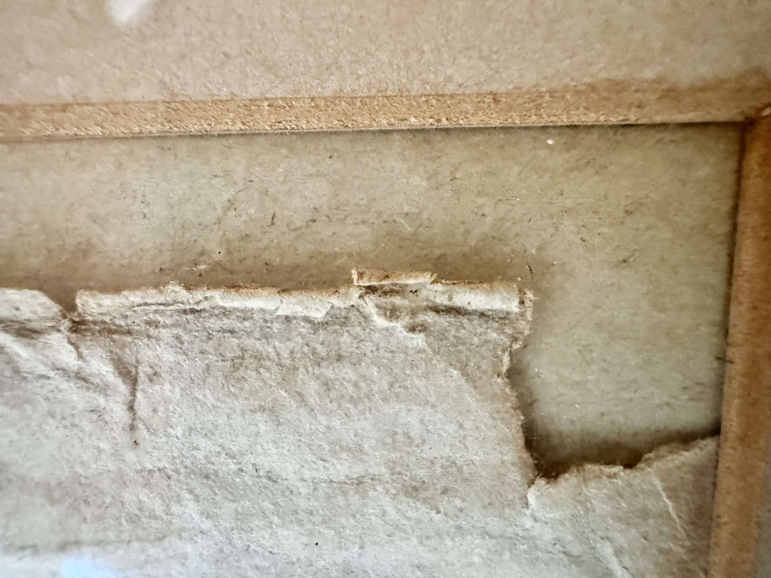 Antique Colored Engraving of a Male Ruff - Image 10