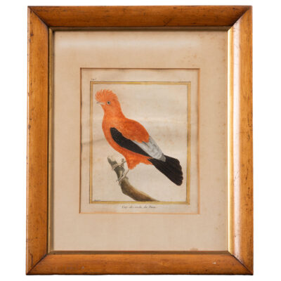 Antique Framed Water Color Print