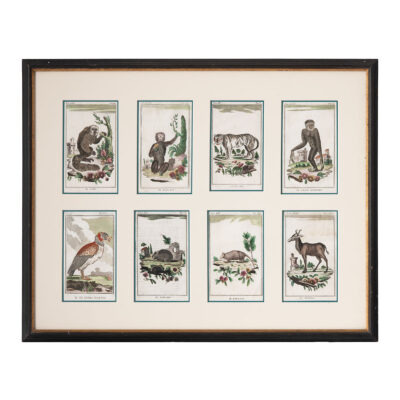 Vintage Set of 8 Framed Book Plates