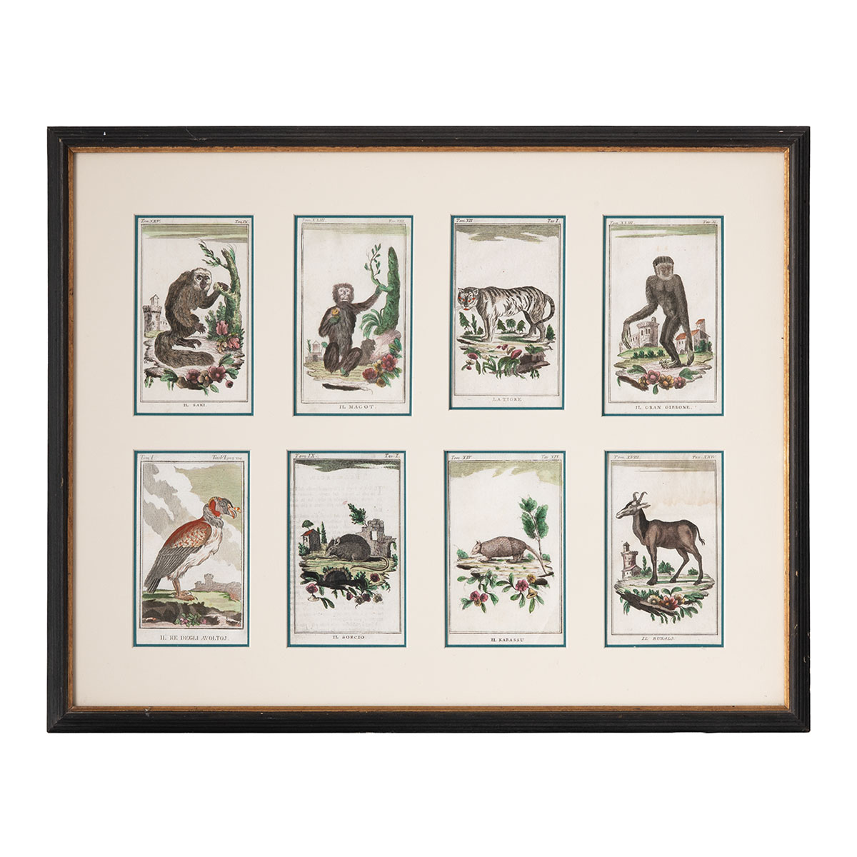 Vintage Set of 8 Framed Book Plates