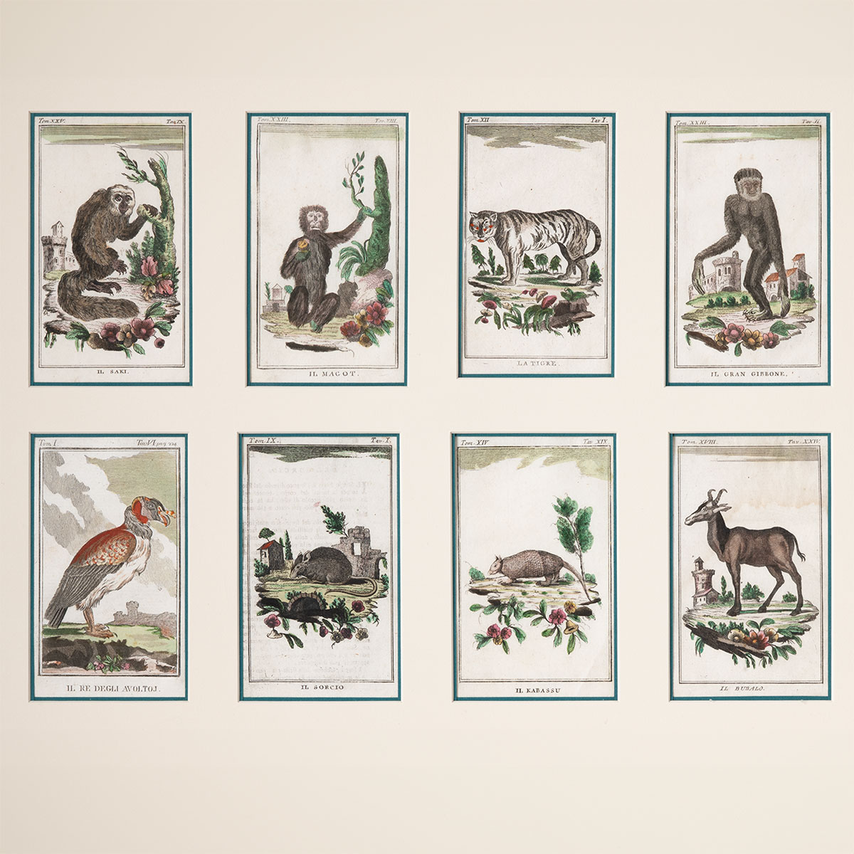 Vintage Set of 8 Framed Book Plates - Image 2