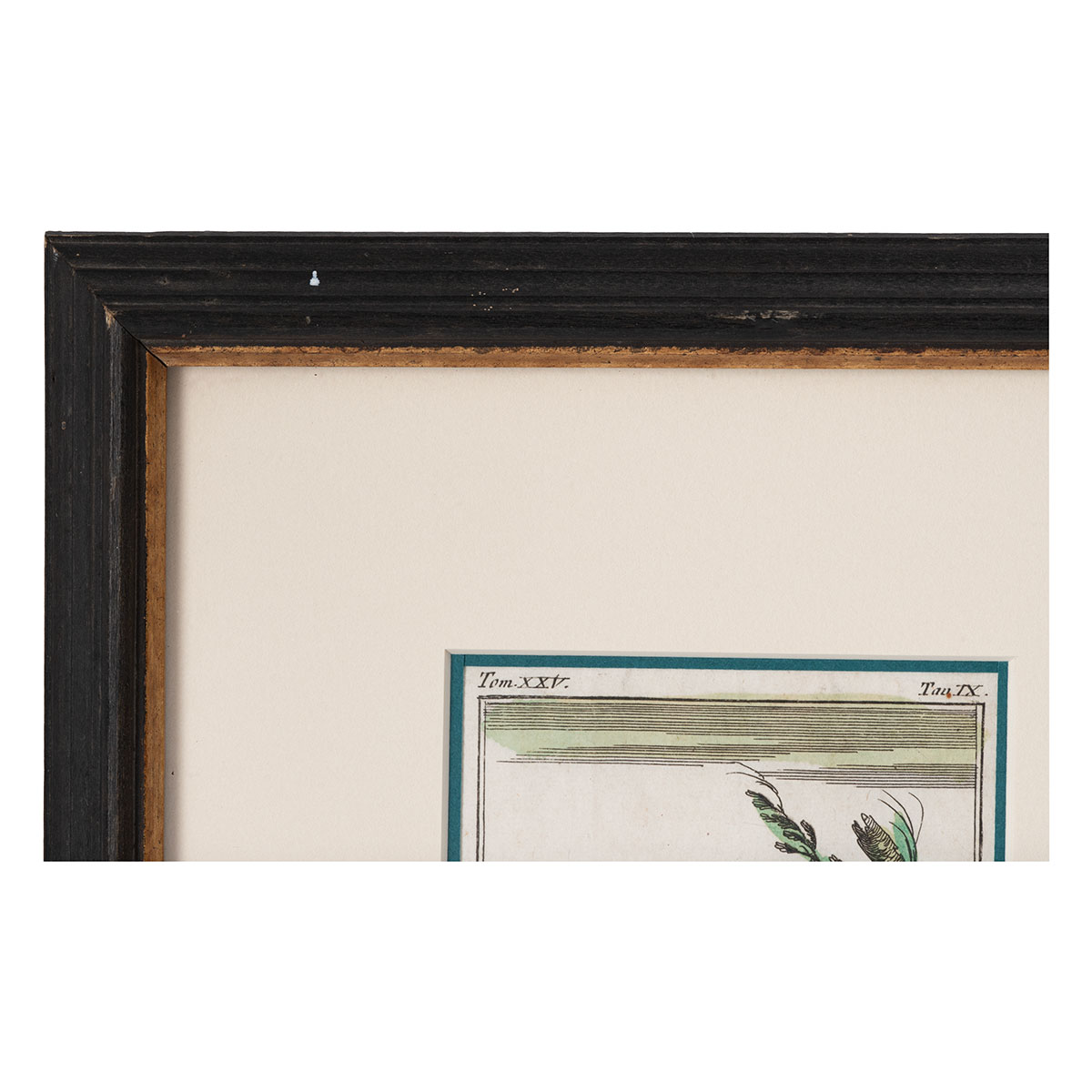 Vintage Set of 8 Framed Book Plates - Image 3