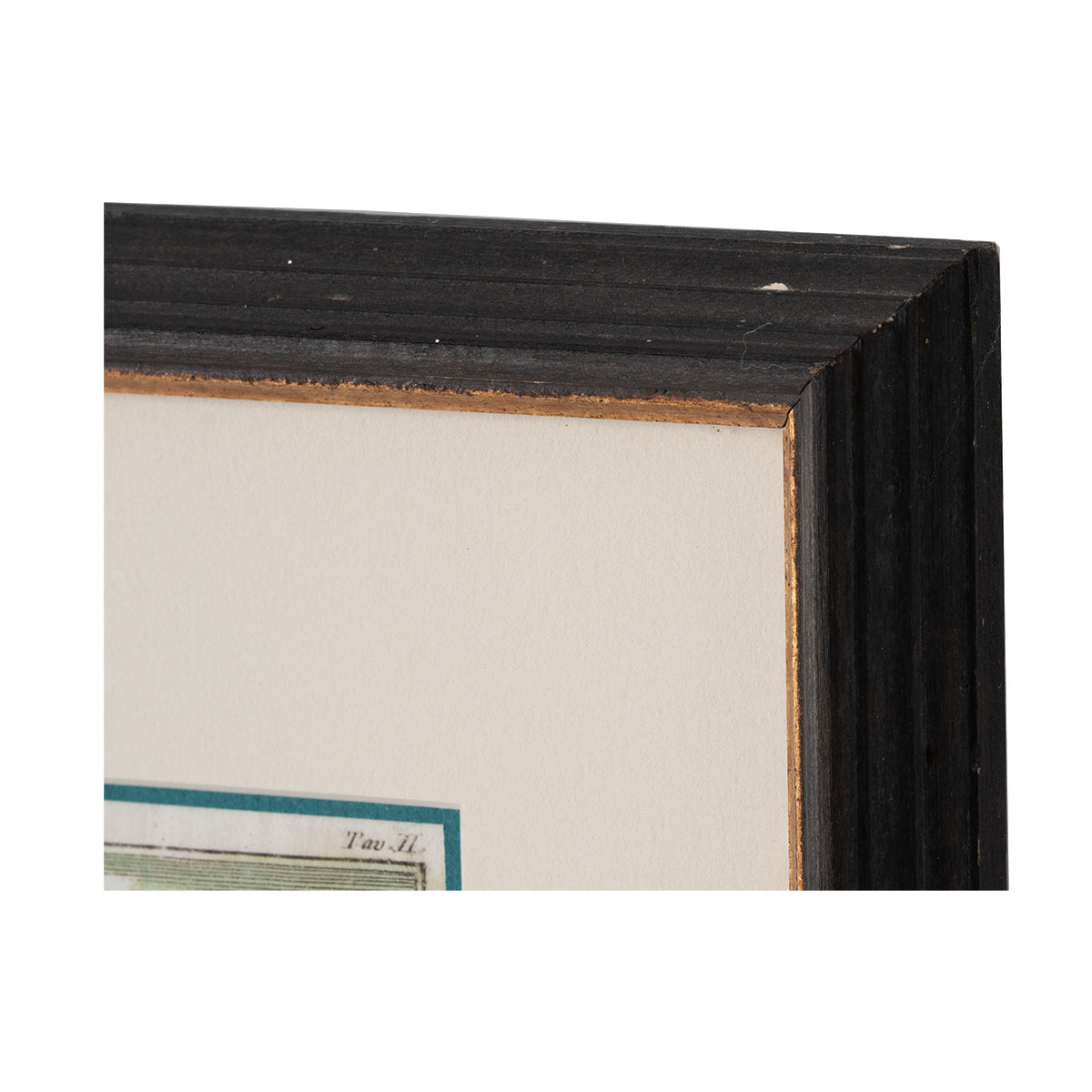 Vintage Set of 8 Framed Book Plates - Image 4